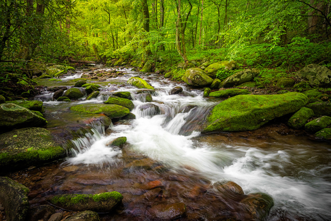 Smokey-Mountains-Stream