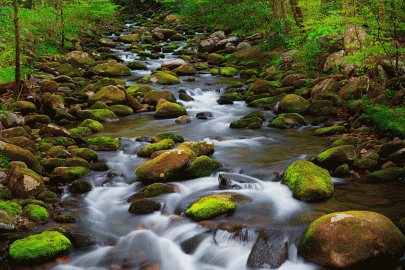 Smokey-Mountain-River
